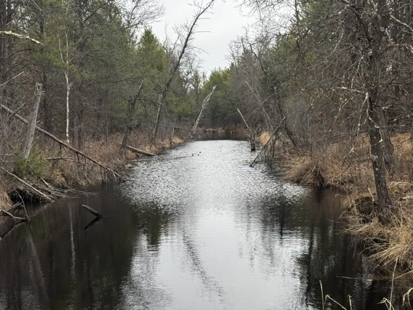 103± acre timber tract in Juneau County’s Town of Necedah