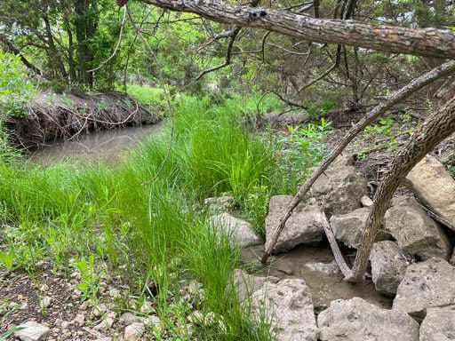 51.01 Acres for Sale in Gatesville, TX – Gated Entrance, Pond, and Stunning Views