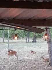 32-Acre Live Water Property with Leon River Frontage in Gatesville, TX