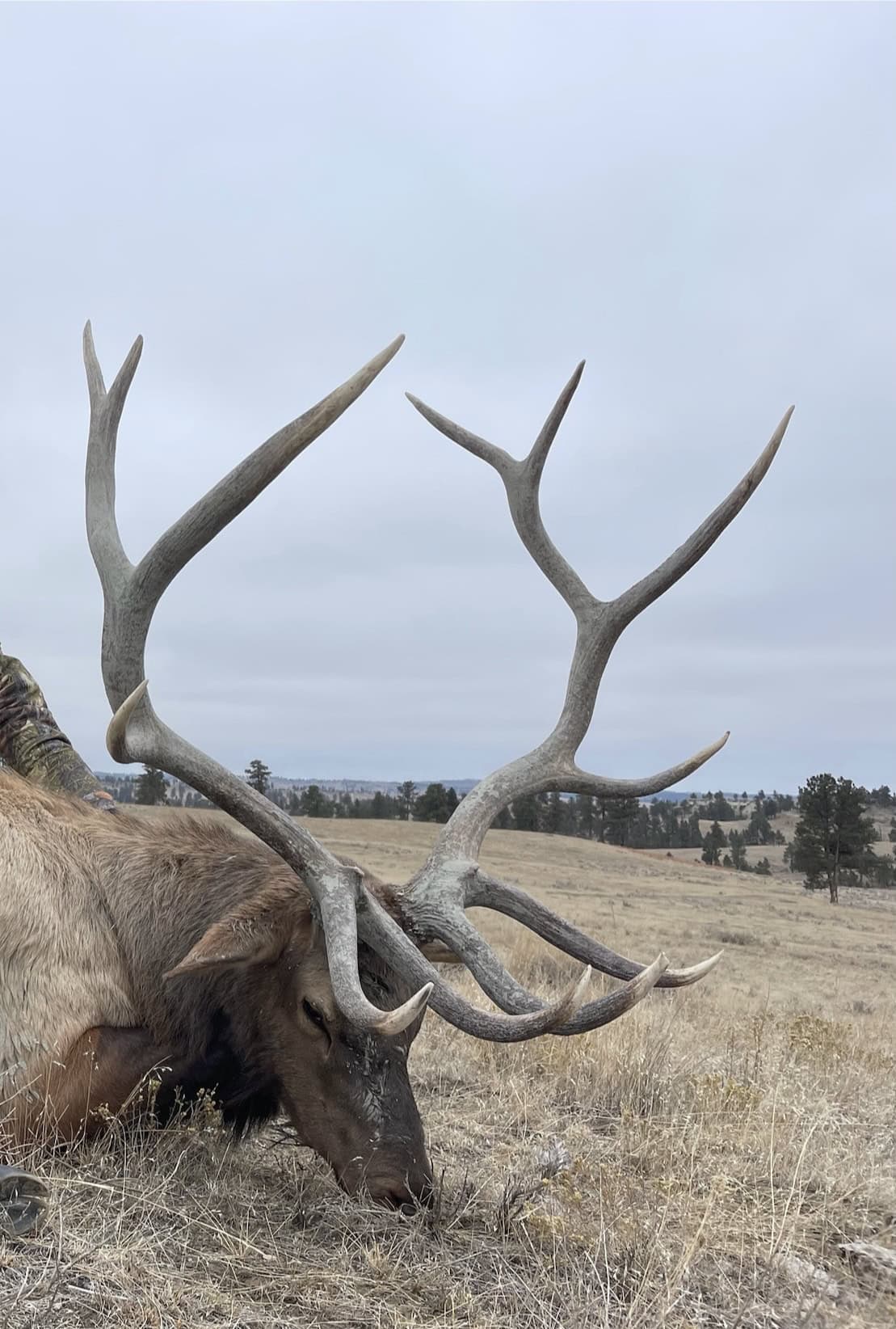 Scenic Montana Ranch with Elk, Deer & Trout Fishing