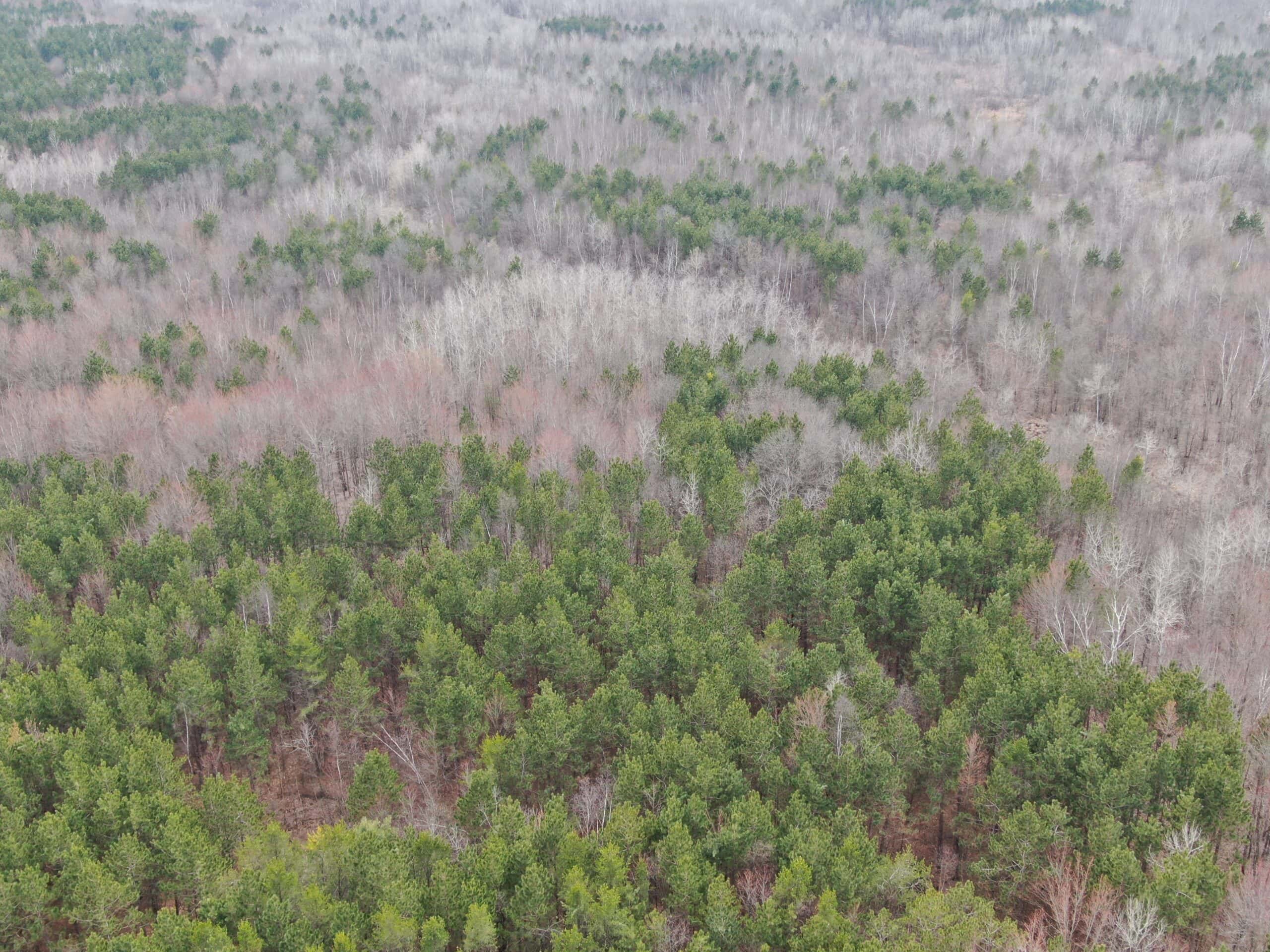 Juneau County WI 360 Acre Outdoor Paradise