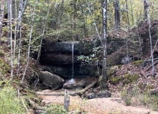 80 Acres with a Brand New Lodge in South Mississippi