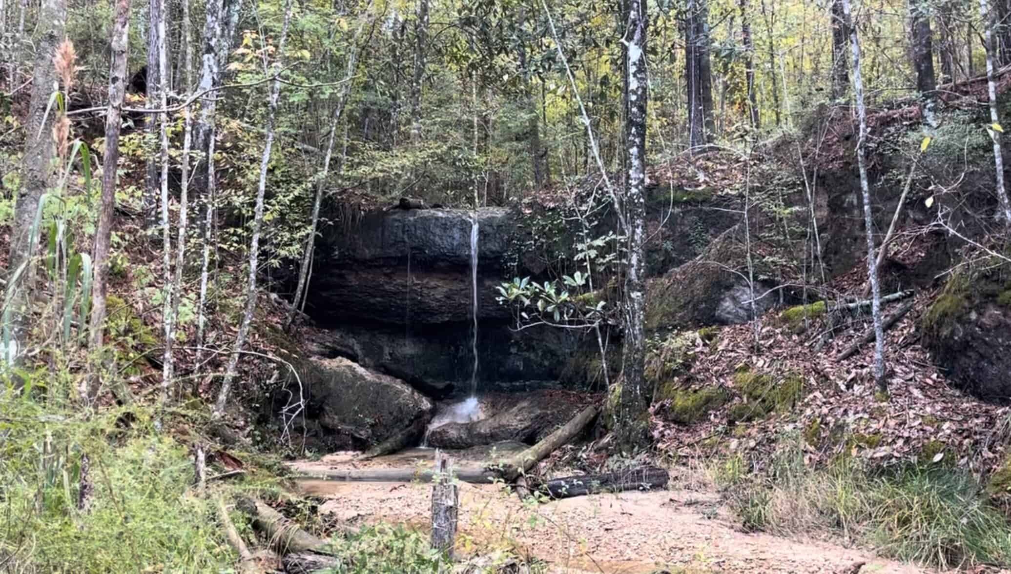80 Acres with a Brand New Lodge in South Mississippi