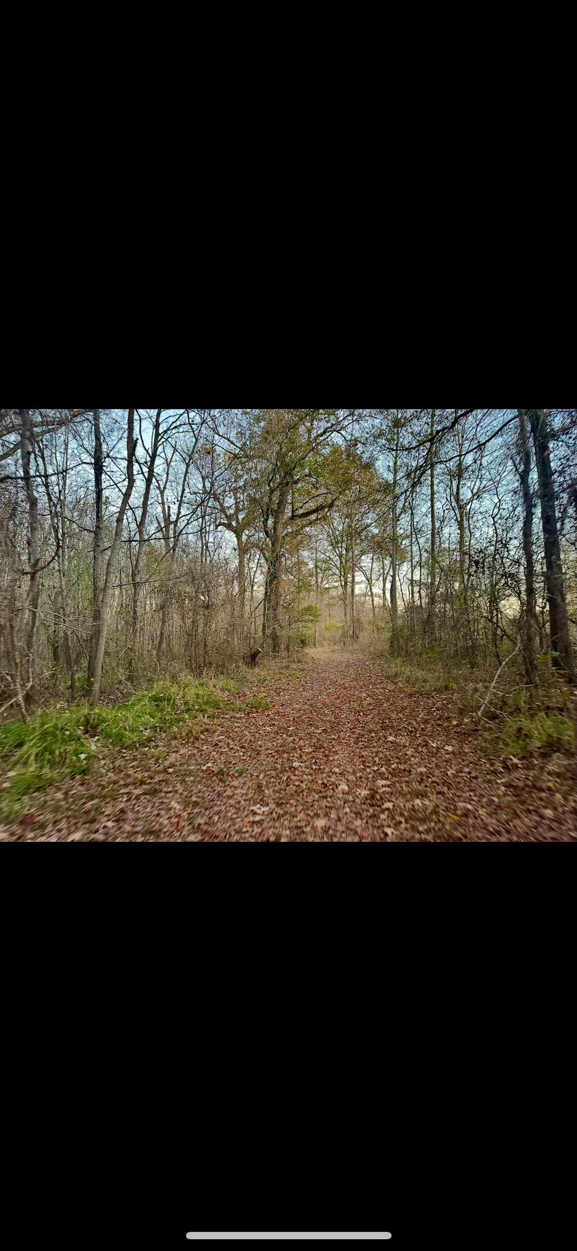 Riverfront Hunting Property with a Private Lake