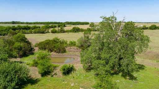 51.01 Acres for Sale in Gatesville, TX – Gated Entrance, Pond, and Stunning Views
