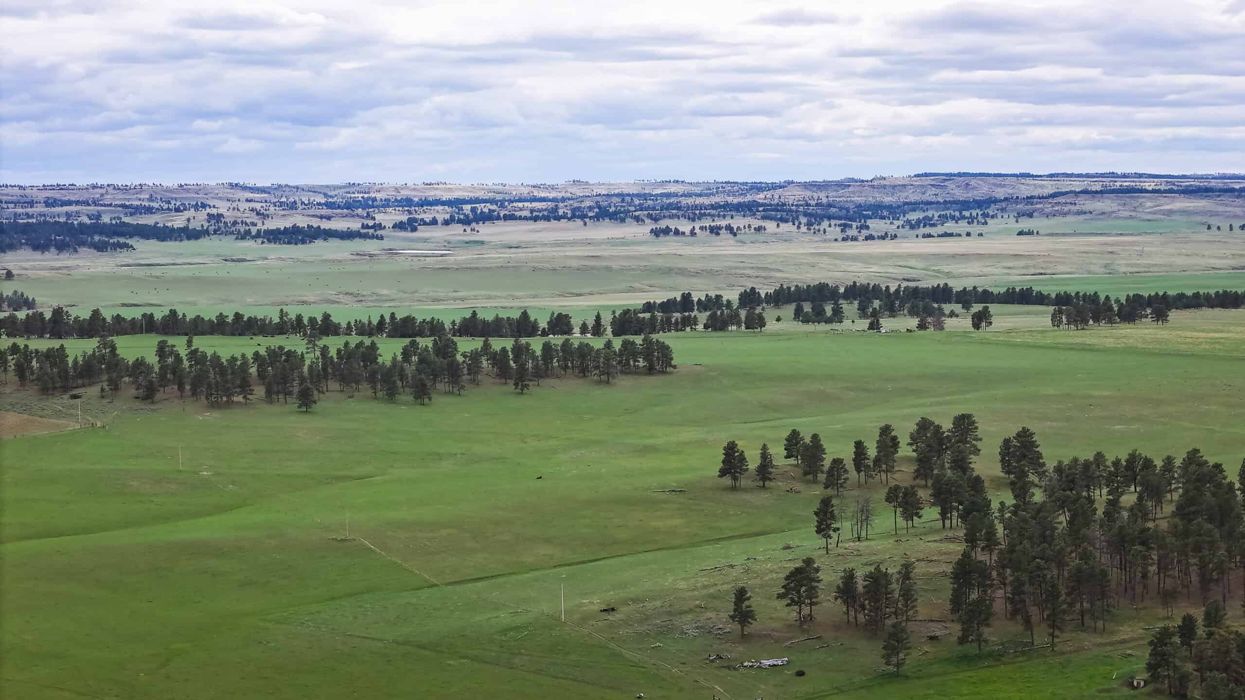 Scenic Montana Ranch with Elk, Deer & Trout Fishing