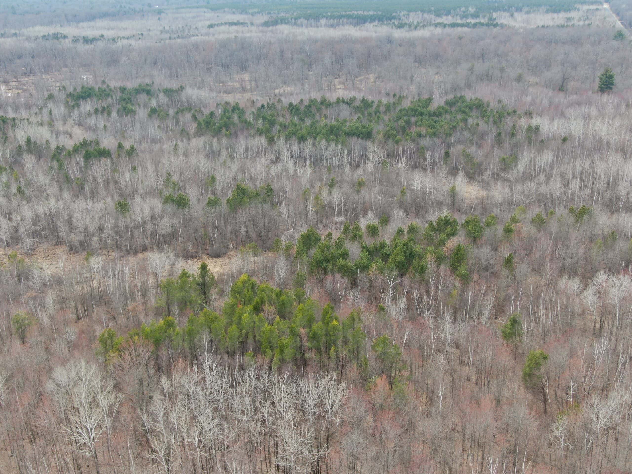 Juneau County WI 360 Acre Outdoor Paradise