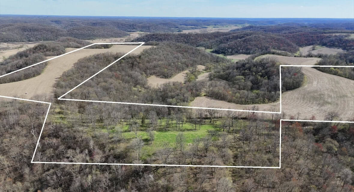 Online-Only Auction | 253+/- Acre Farm with Two Homes in Richland & Sauk Counties, WI