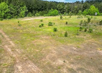 Homochitto Natl Forest Hunting Property Wilkinson Co, MS