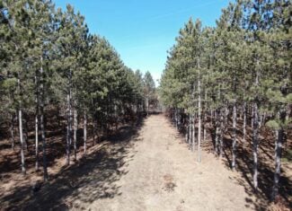 Juneau County WI 200-Acre Tract of Land