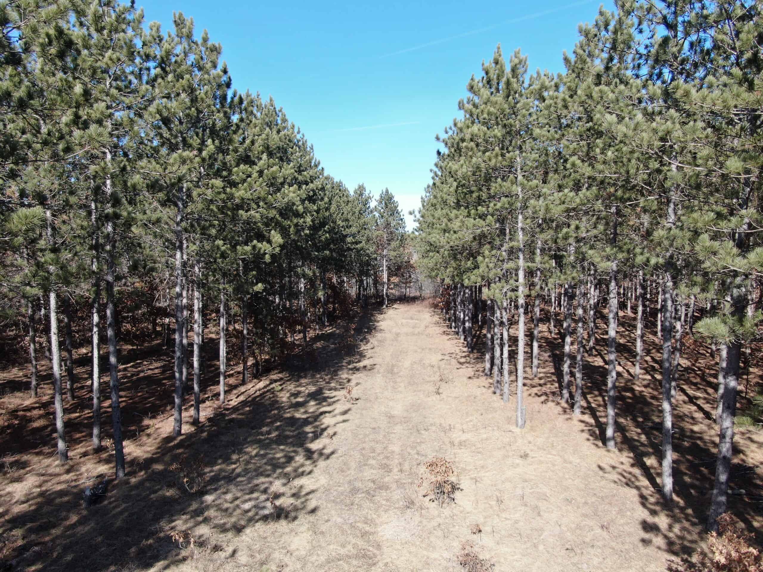 Juneau County WI 200-Acre Tract of Land