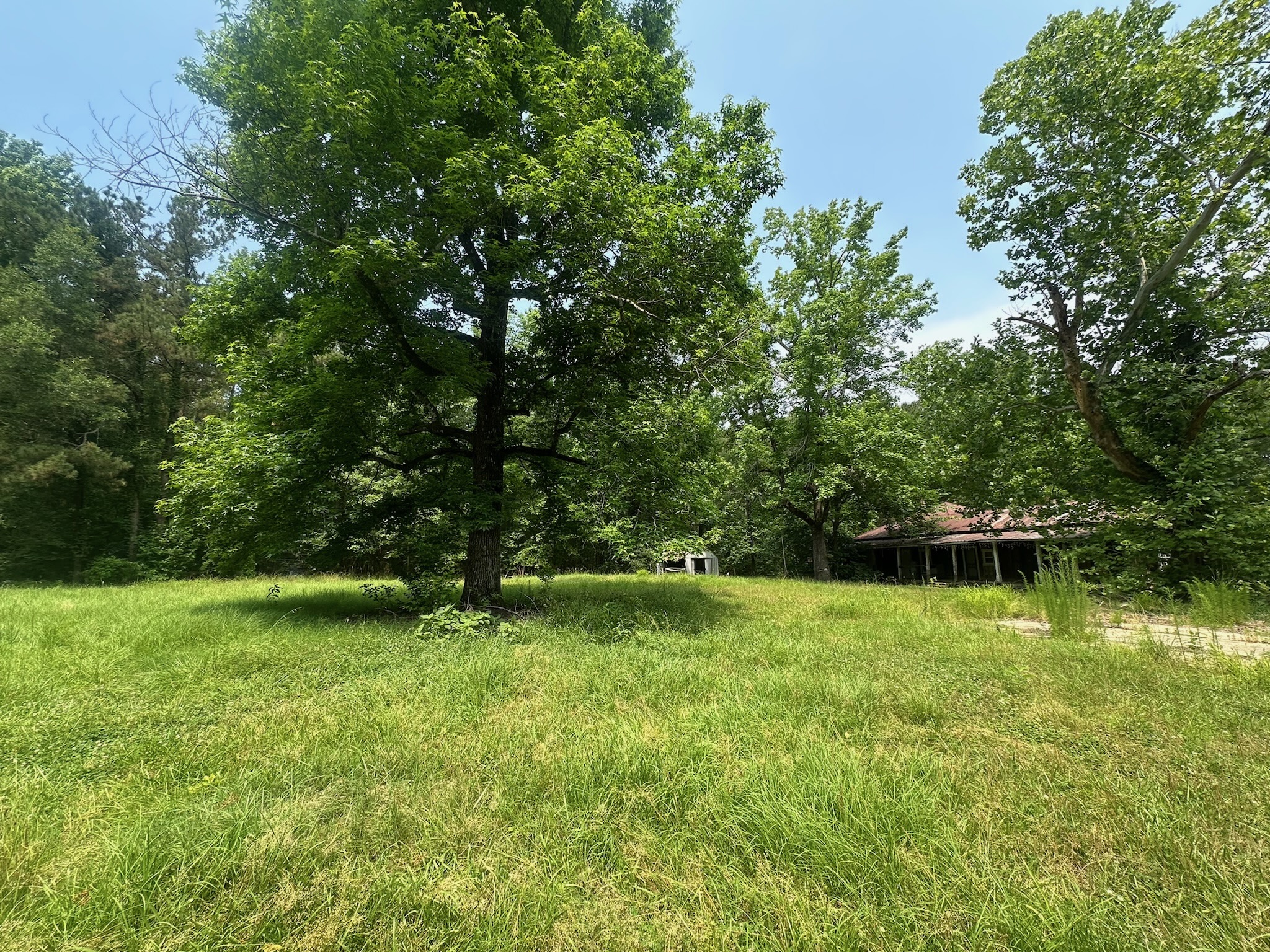 70 Acre Hunting Property with Camp Spot and Utilities