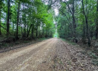 Secluded Land for Sale in Roxie – MS Hamburg Community Lot