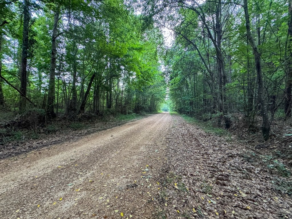 Secluded Land for Sale in Roxie – MS Hamburg Community Lot