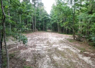 51 Acres of Hunting Land for Sale in Roxie, Mississippi