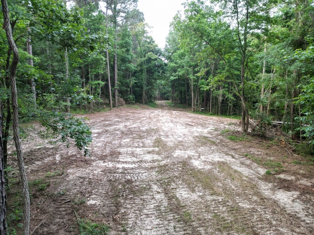 51 Acres of Hunting Land for Sale in Roxie, Mississippi