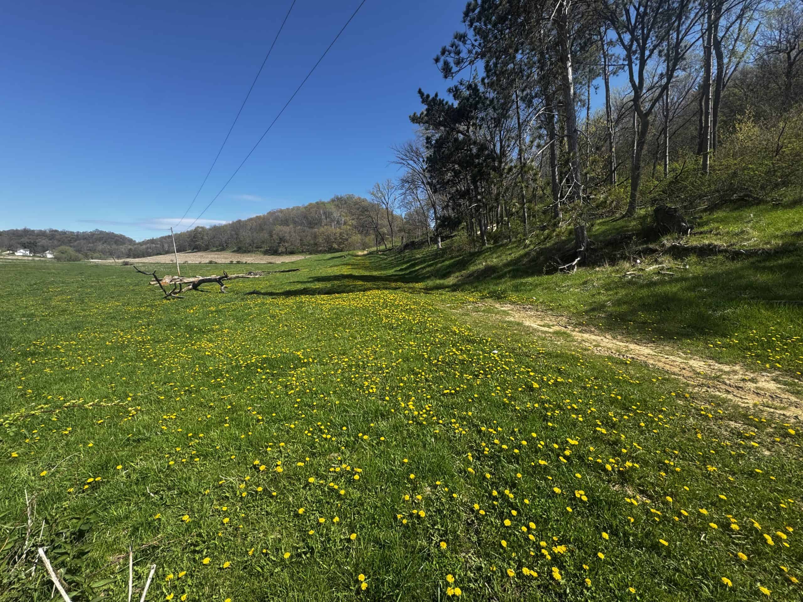 Online-Only Auction | 253+/- Acre Farm with Two Homes in Richland & Sauk Counties, WI