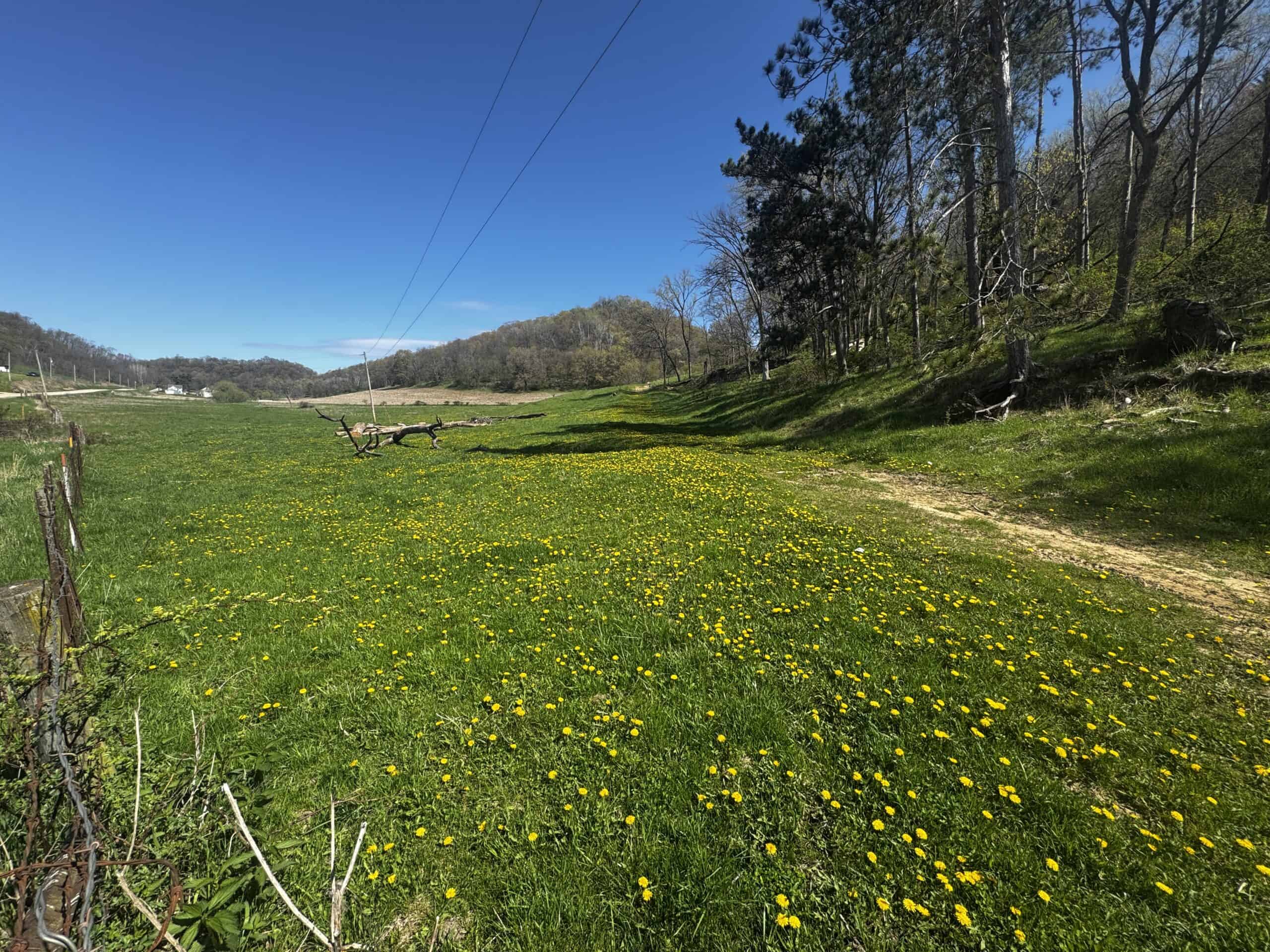 Online-Only Auction | 253+/- Acre Farm with Two Homes in Richland & Sauk Counties, WI