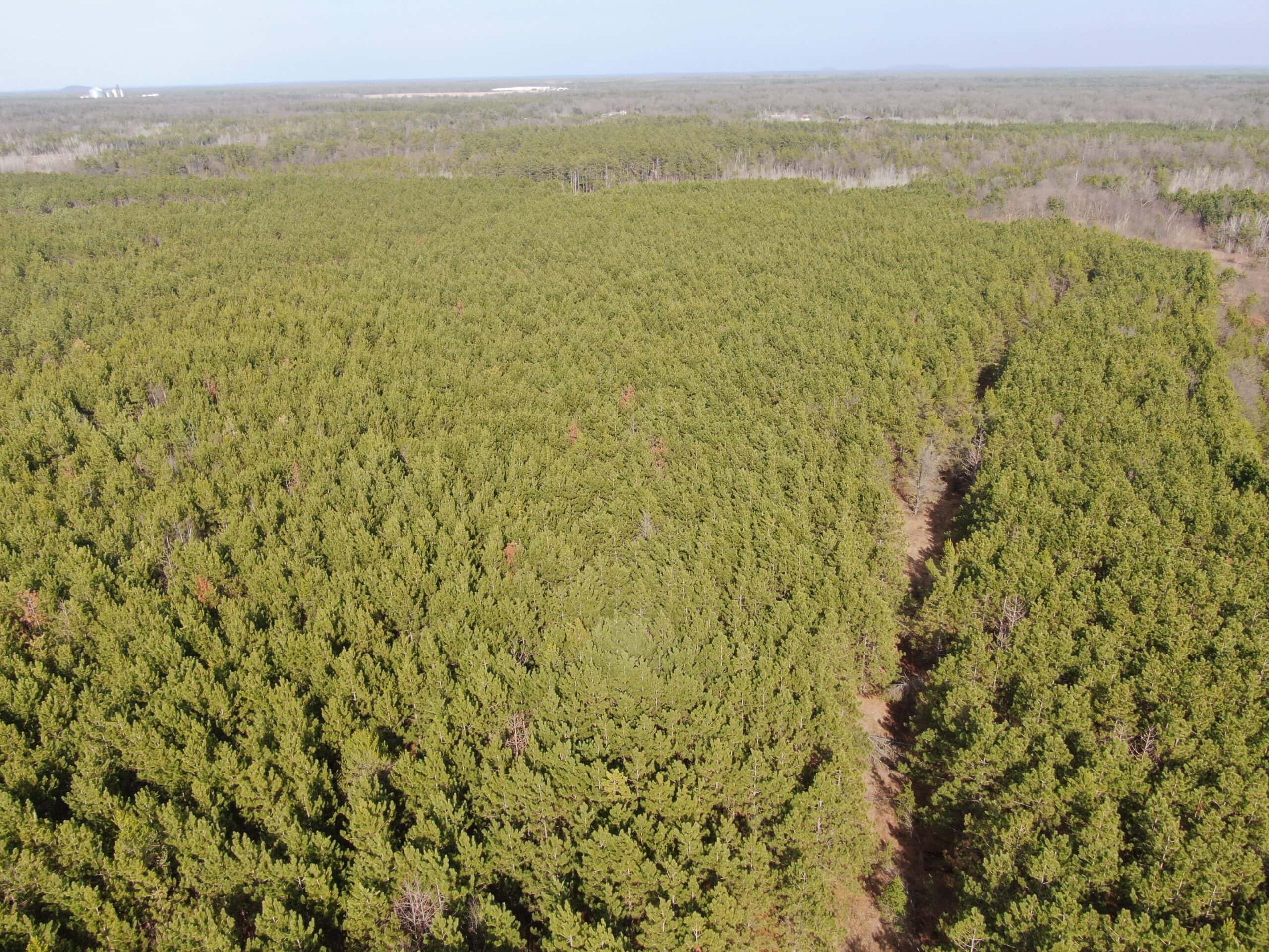 Juneau County 76 +/- Acre Parcel