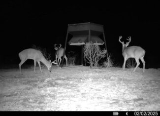 586 Hunting Land in the Catahoula Hills with Creek