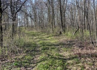 Premium 32+/- Acre Parcel in La Crosse County WI