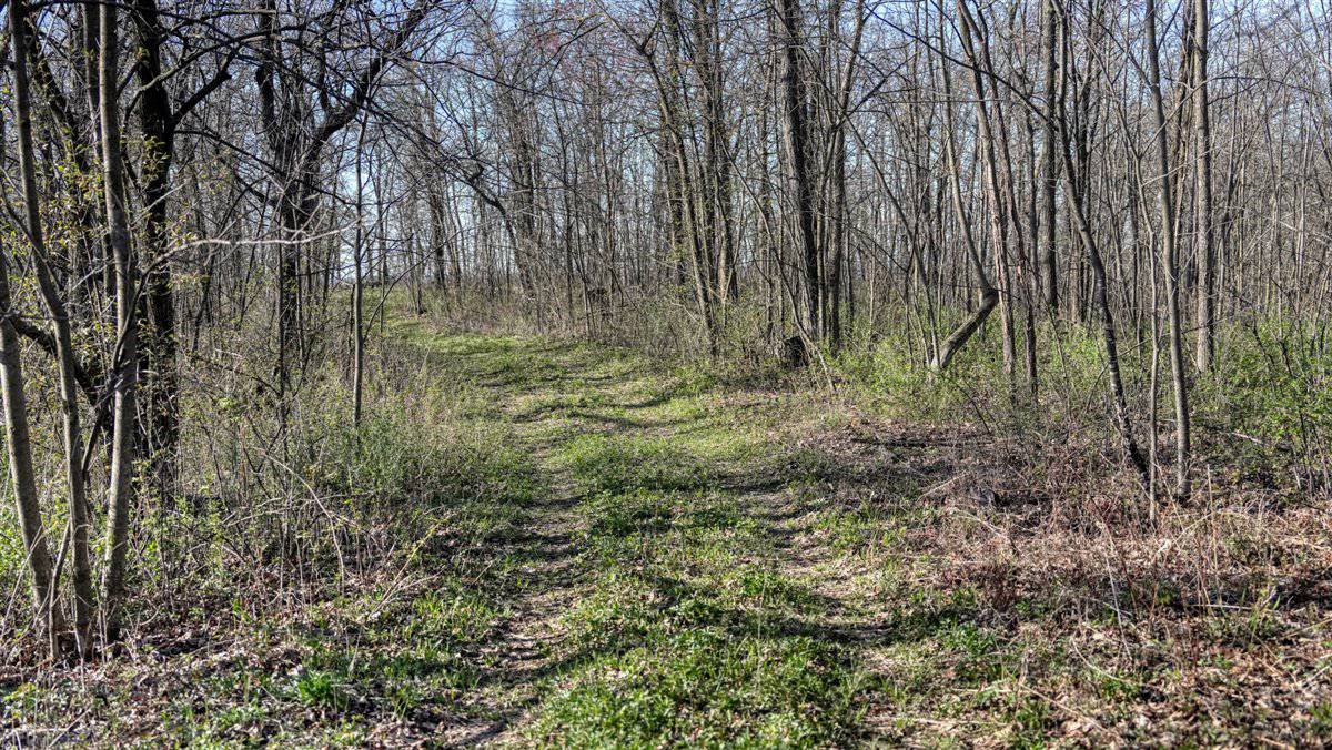 Premium 32+/- Acre Parcel in La Crosse County WI