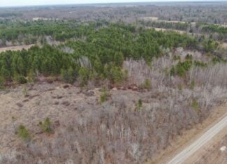 103± acre timber tract in Juneau County’s Town of Necedah