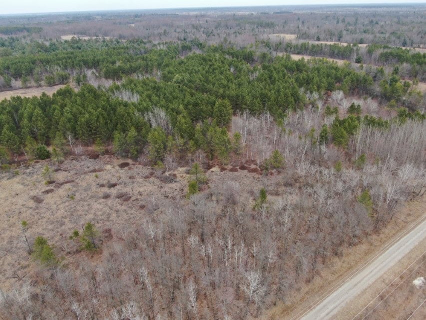 103± acre timber tract in Juneau County’s Town of Necedah
