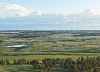 Scenic Montana Ranch with Elk, Deer & Trout Fishing