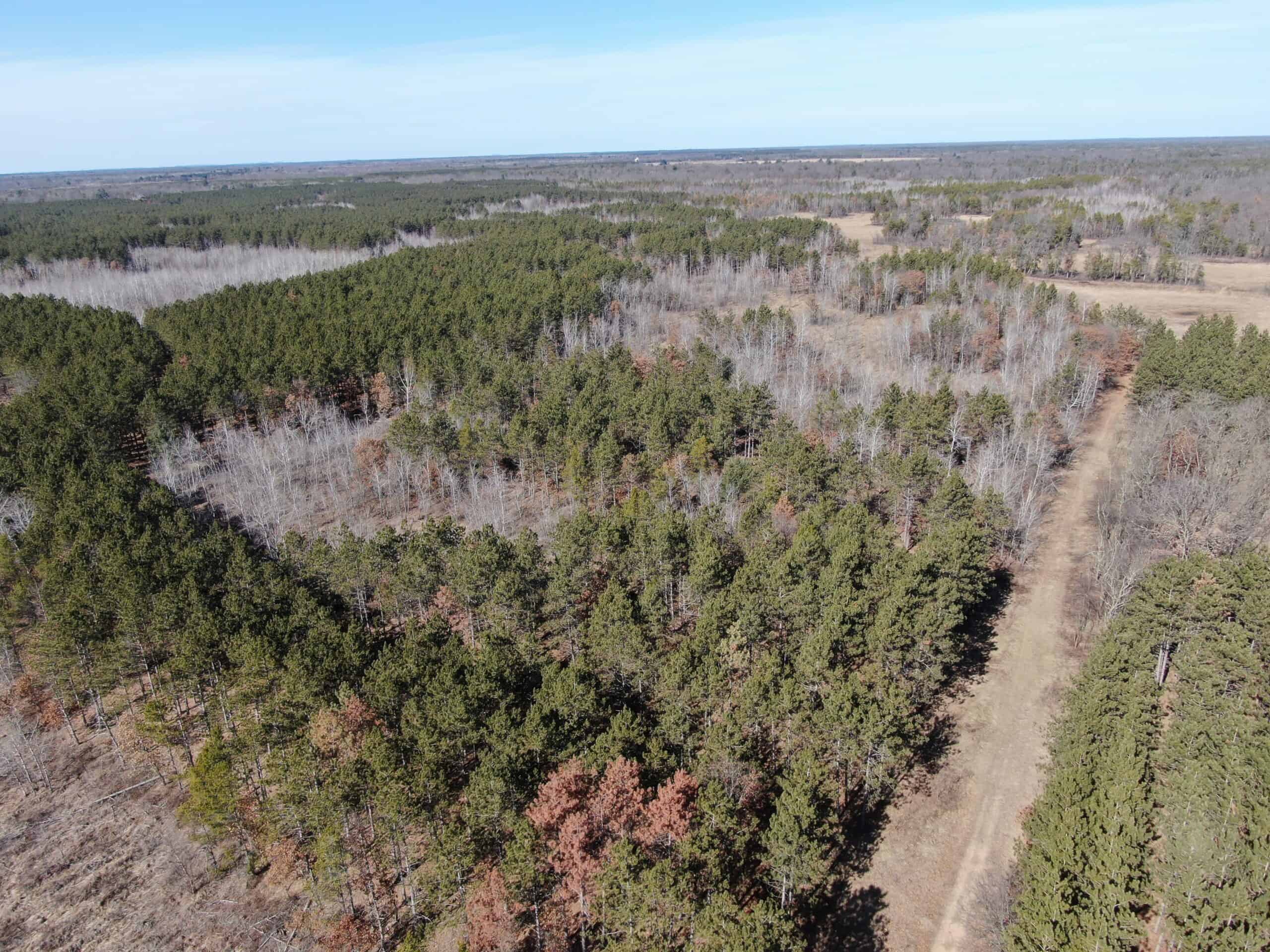 Juneau County WI 200-Acre Tract of Land