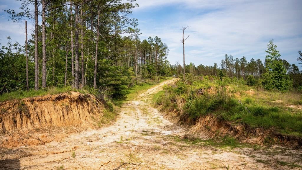 586 Hunting Land in the Catahoula Hills with Creek