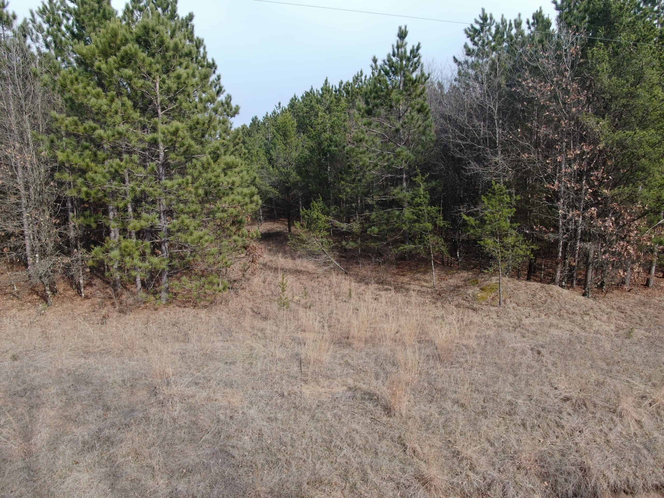 Juneau County 76 +/- Acre Parcel