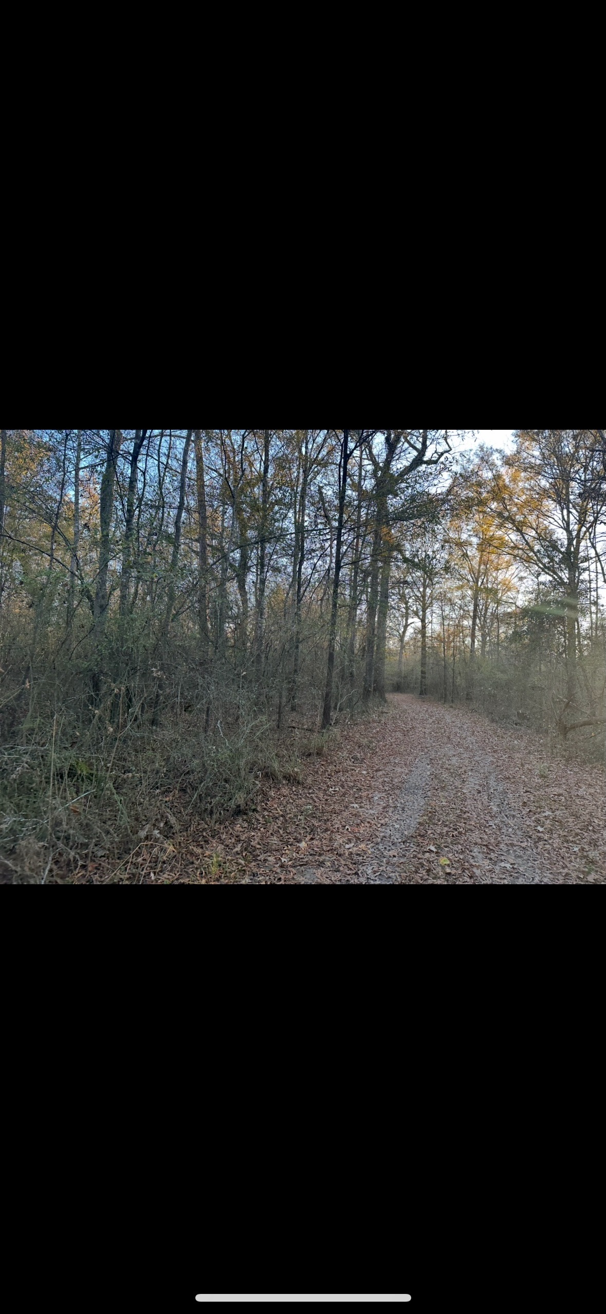 Riverfront Hunting Property with a Private Lake