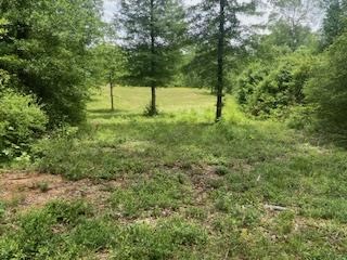 Turnkey Pike County, MS 70 Acres Hunting Property