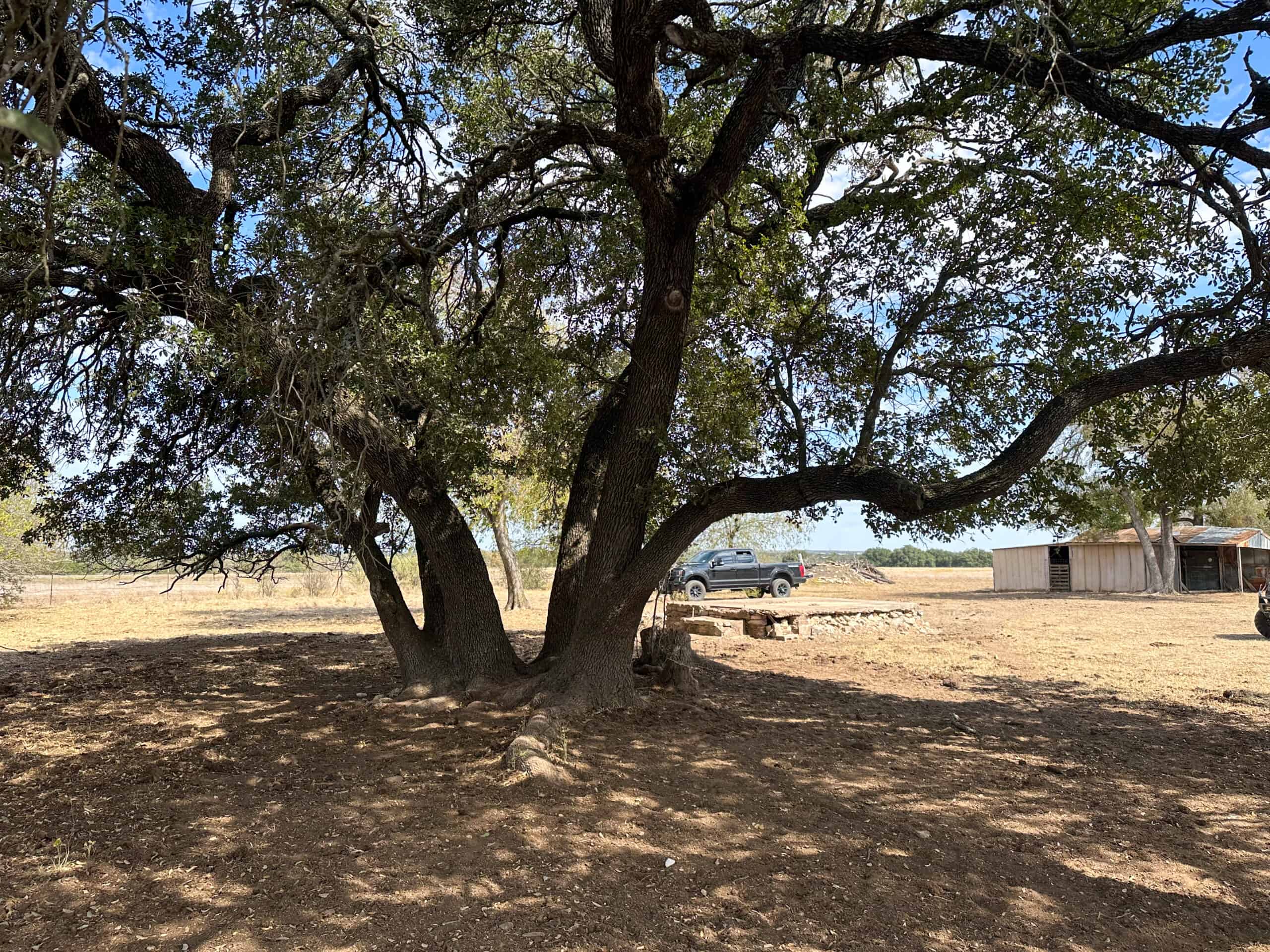Serene 40 Acres in Central Texas