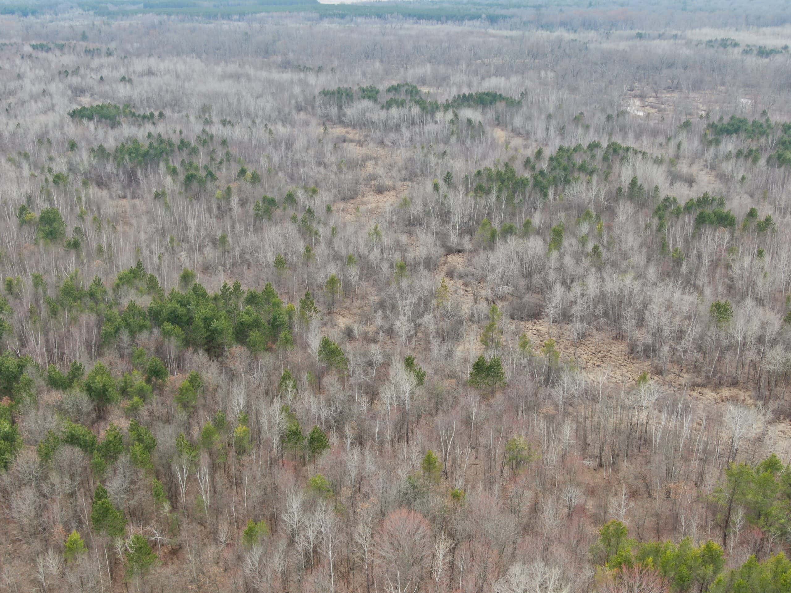Juneau County WI 360 Acre Outdoor Paradise
