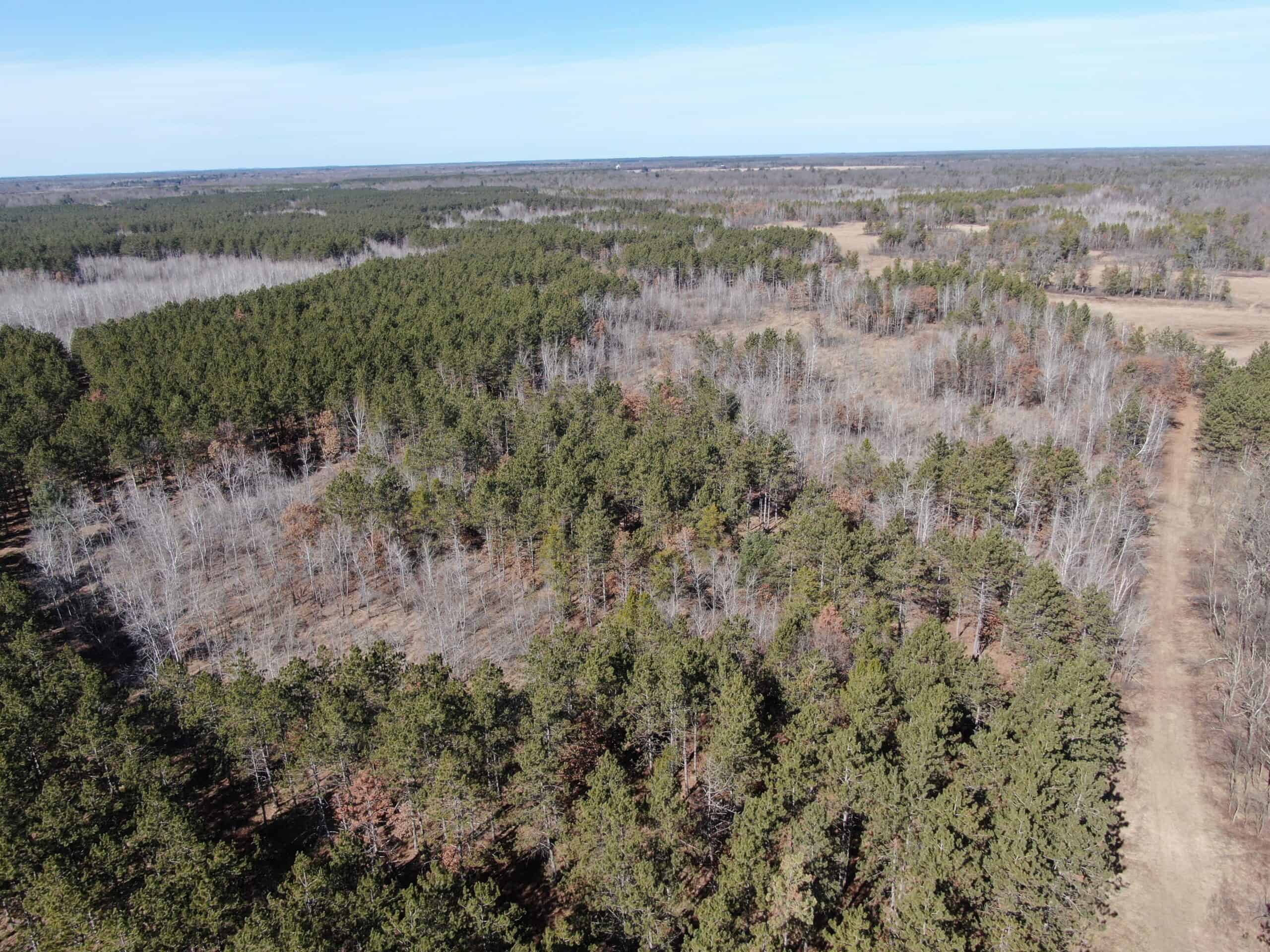 Juneau County WI 200-Acre Tract of Land