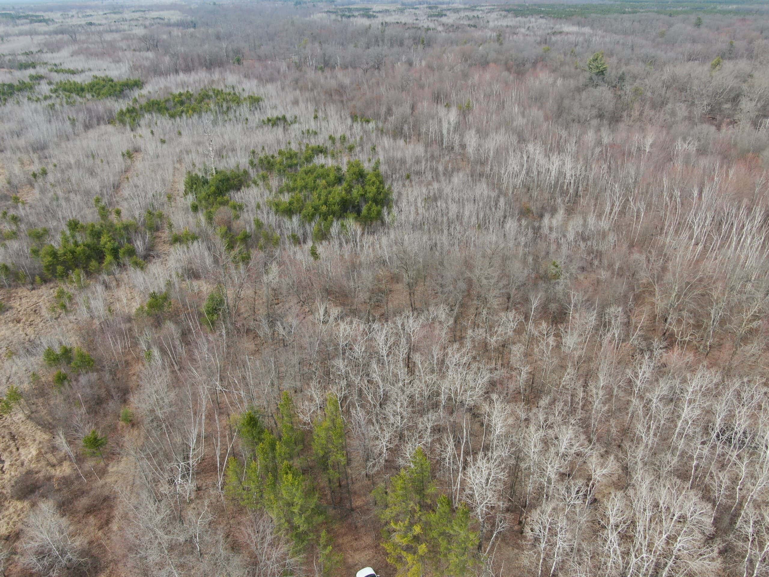 Juneau County WI 360 Acre Outdoor Paradise