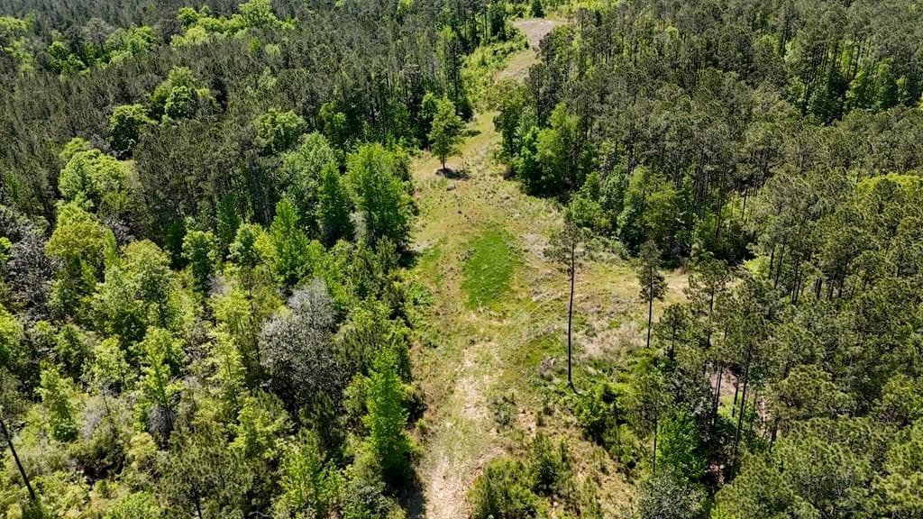 80 Acres with a Brand New Lodge in South Mississippi
