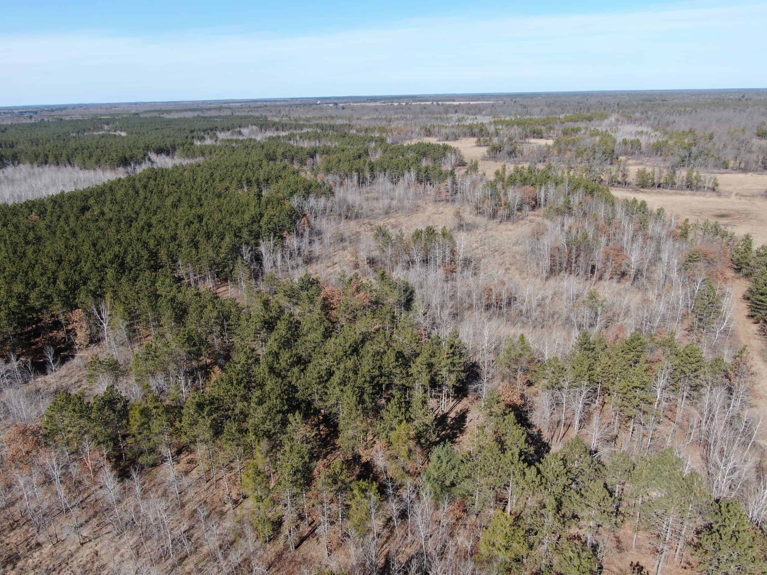 Juneau County WI 200-Acre Tract of Land