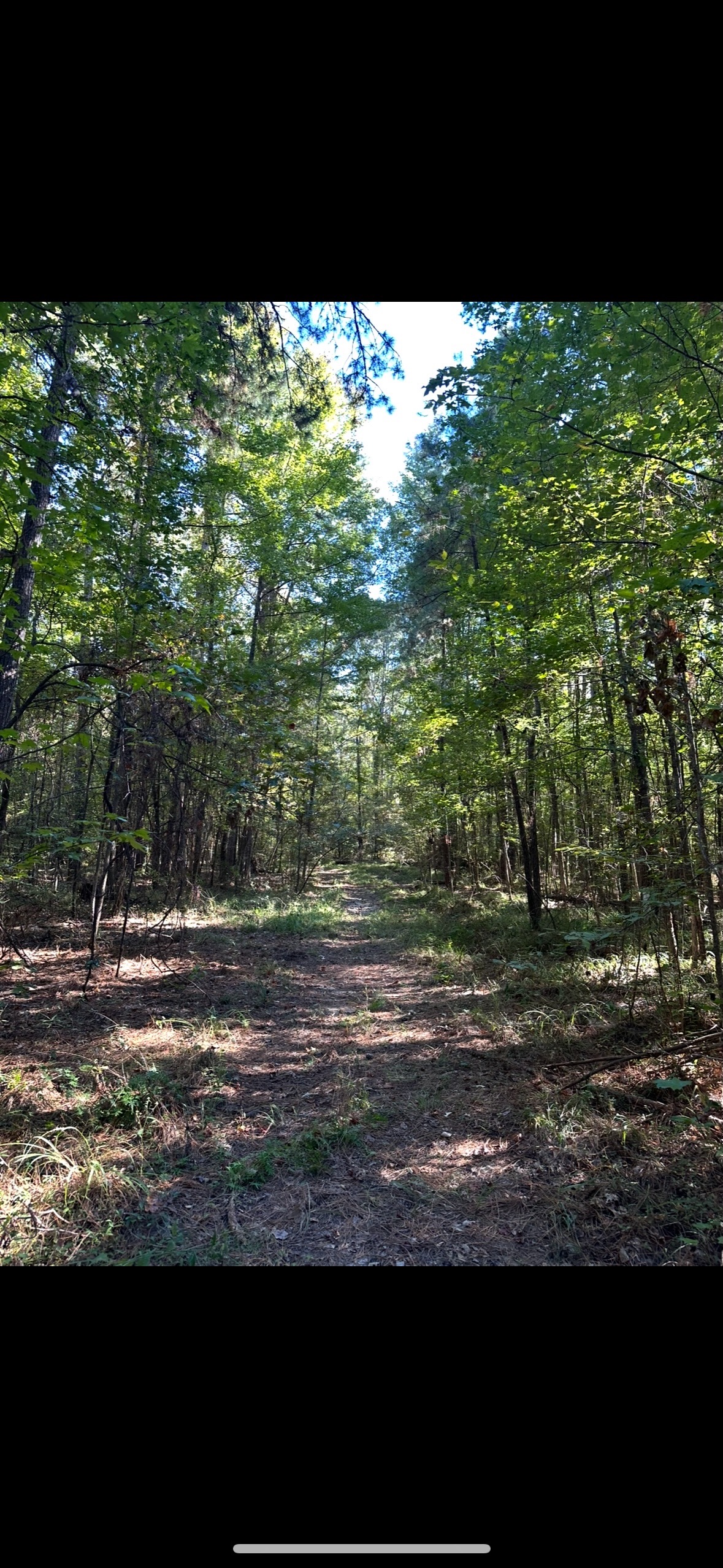 Riverfront Hunting Property with a Private Lake