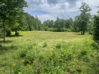 Turnkey Pike County, MS 70 Acres Hunting Property