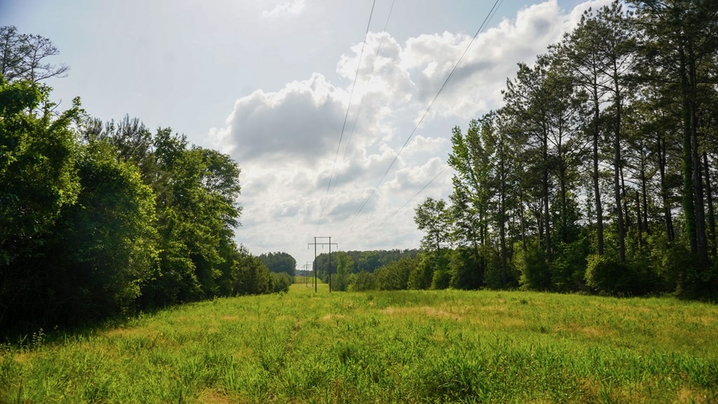 South Mississippi Hunting Paradise for Sale Amite County,MS