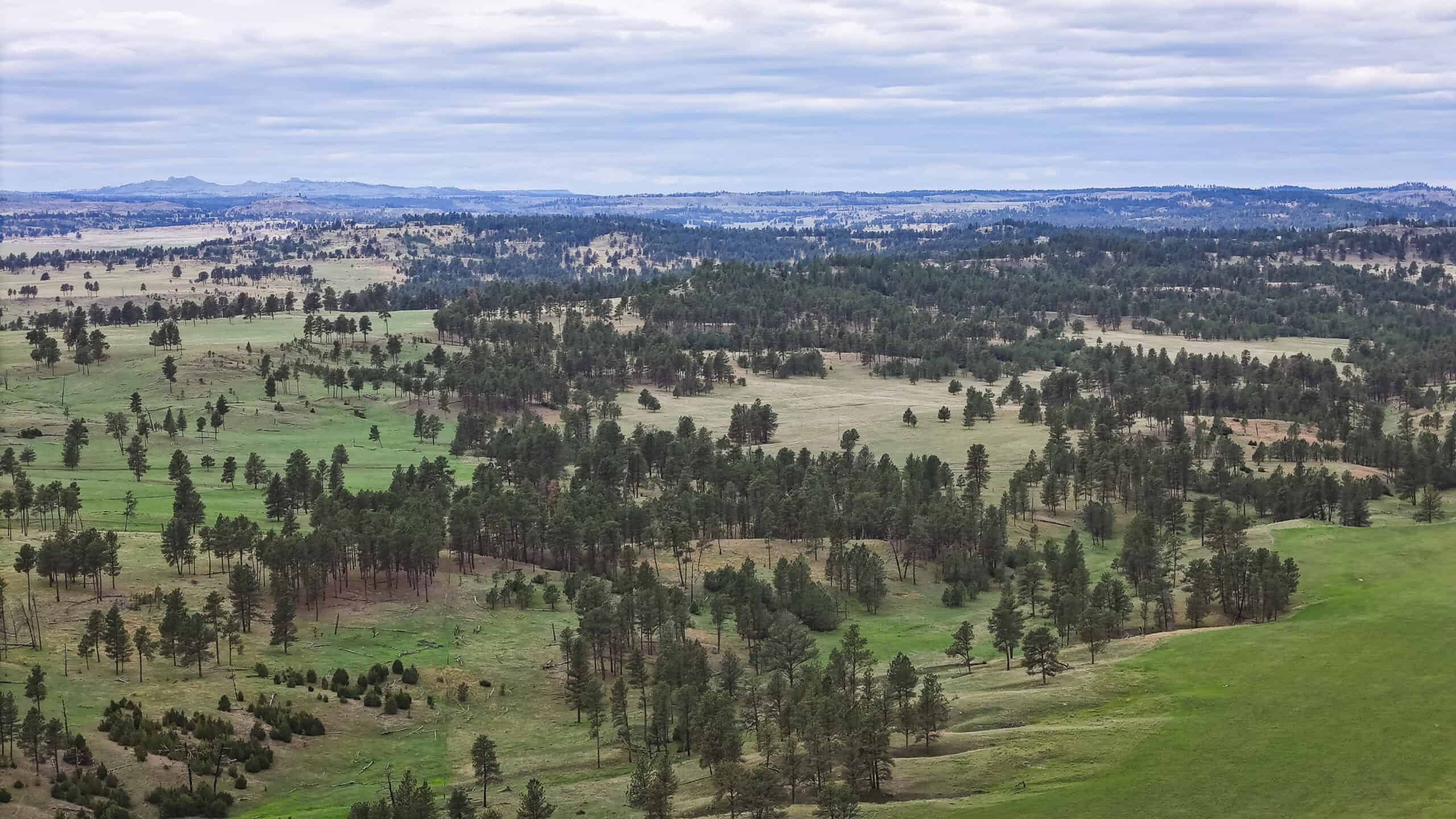 Scenic Montana Ranch with Elk, Deer & Trout Fishing
