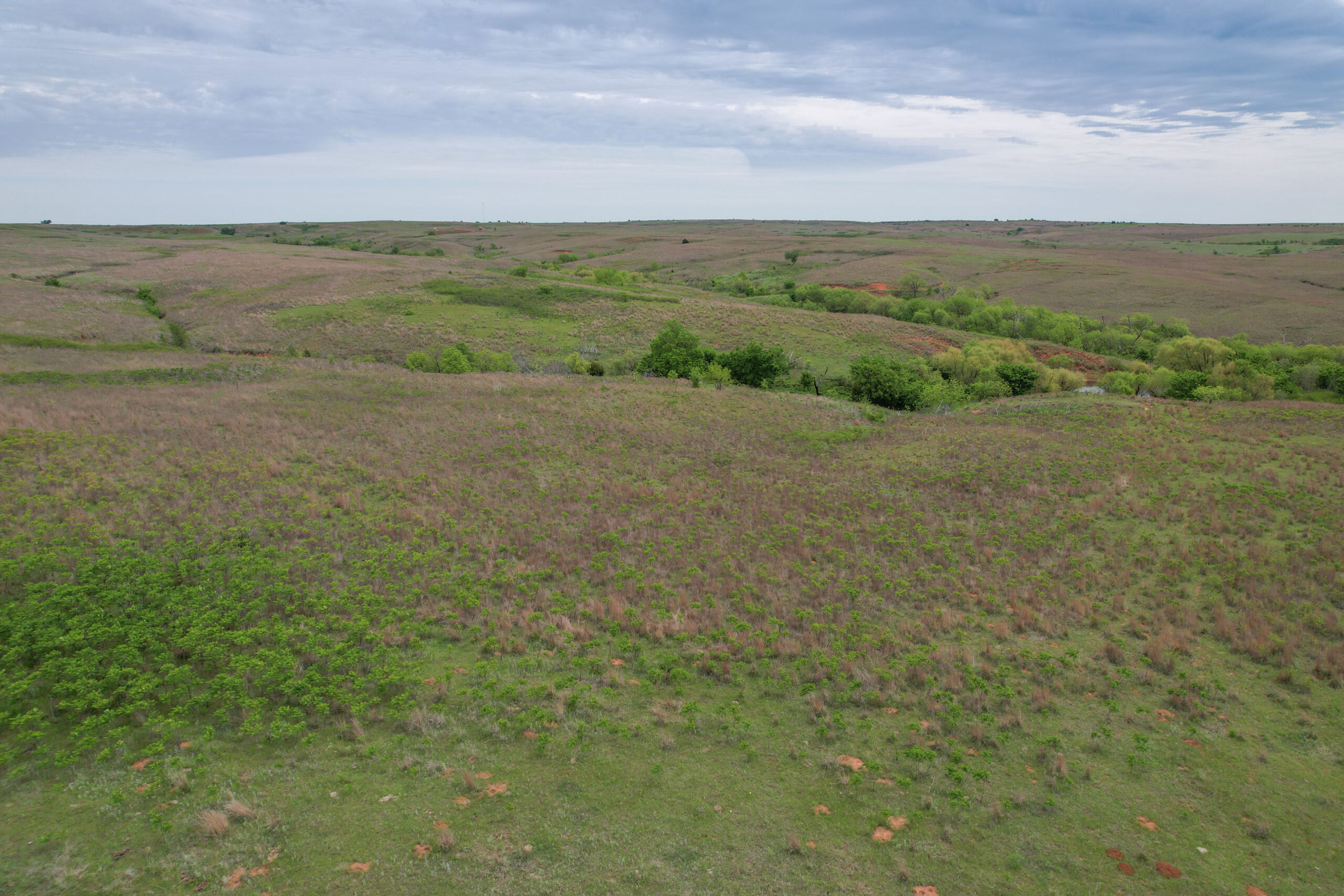 880± Acres of Hunting, Fishing & Ranch Land in Western Oklahoma for Sale