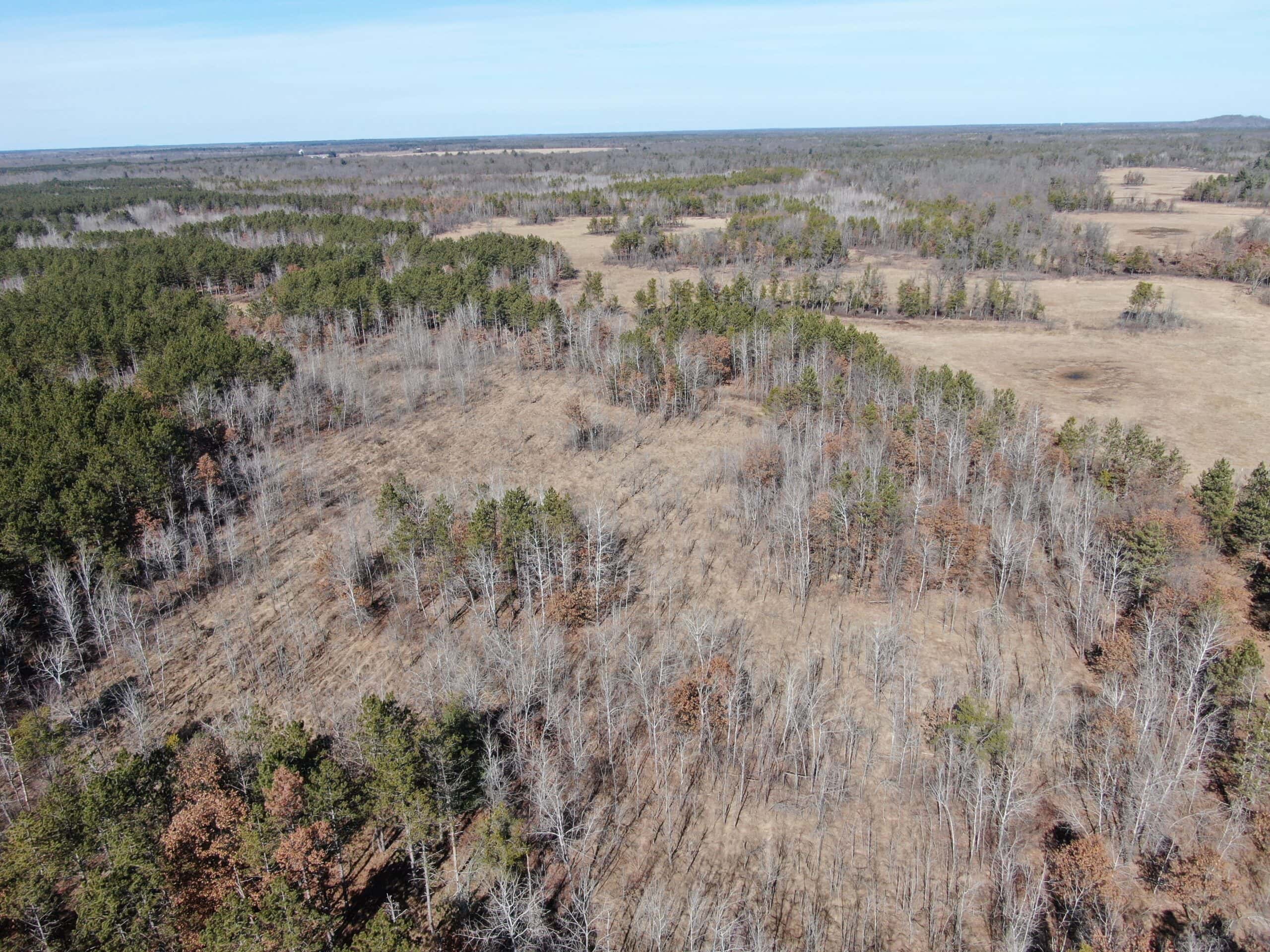 Juneau County WI 200-Acre Tract of Land