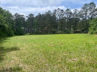 Turnkey Pike County, MS 70 Acres Hunting Property