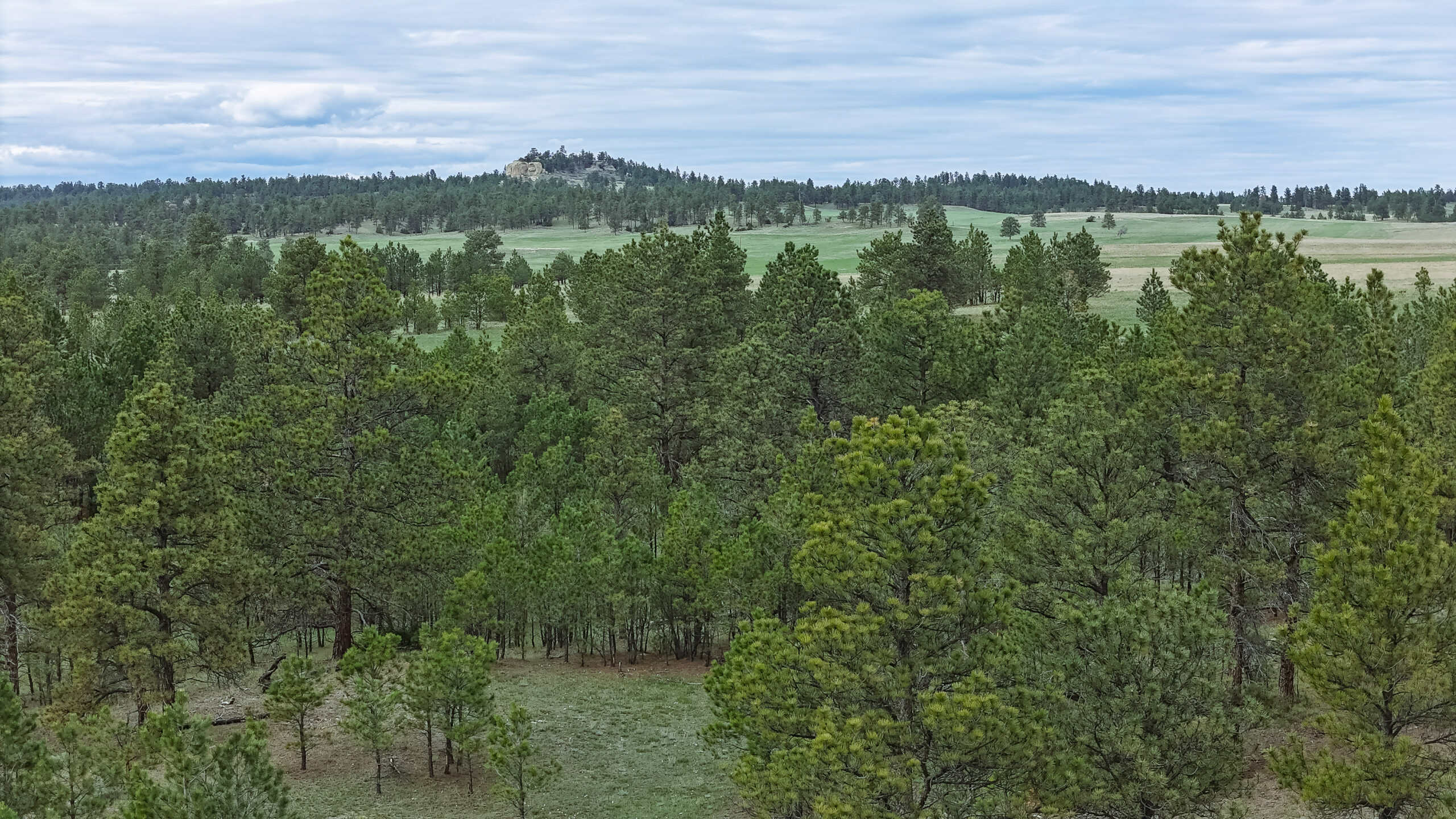 Scenic Montana Ranch with Elk, Deer & Trout Fishing