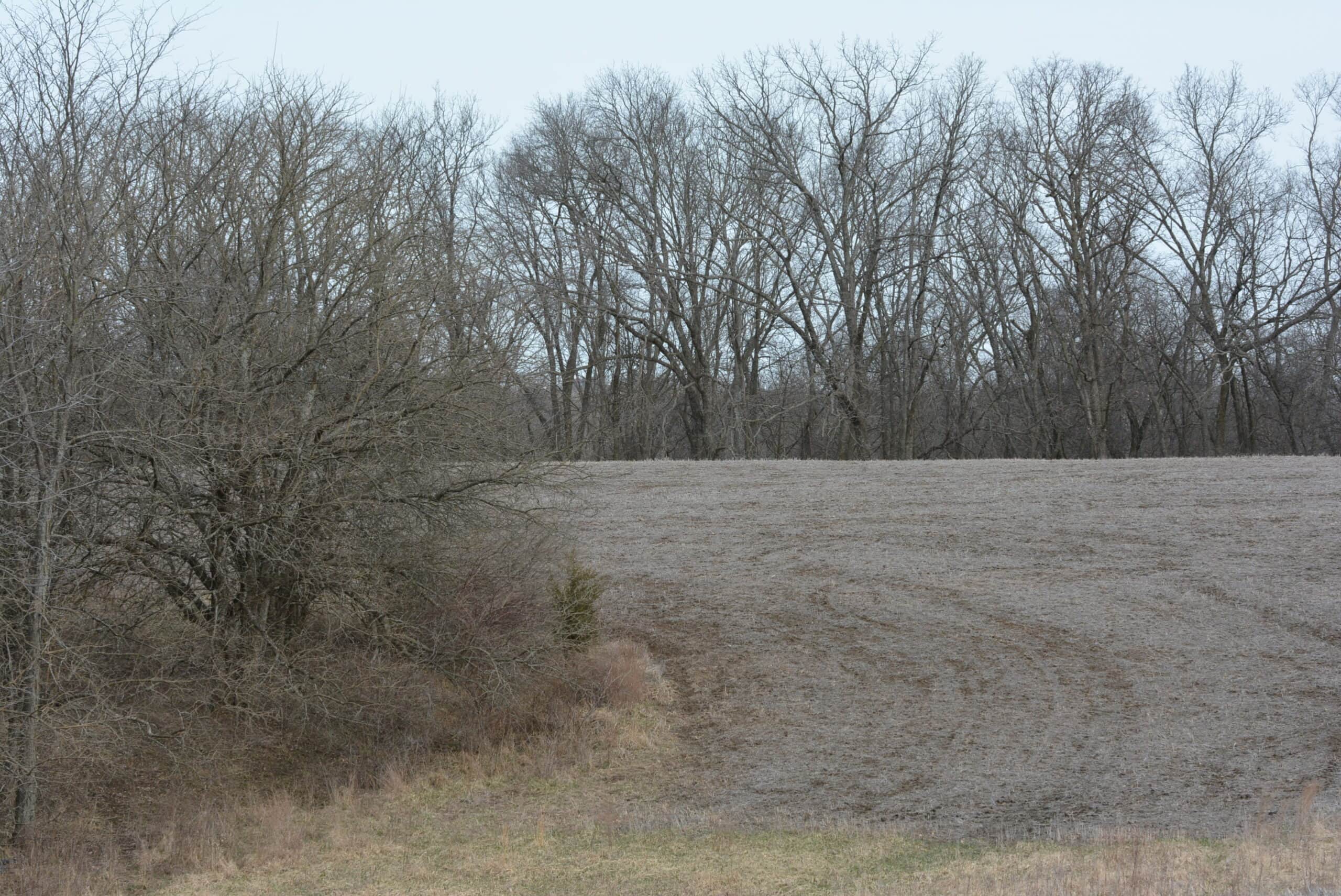 Hunting Land With Income – Mercer County, Missouri