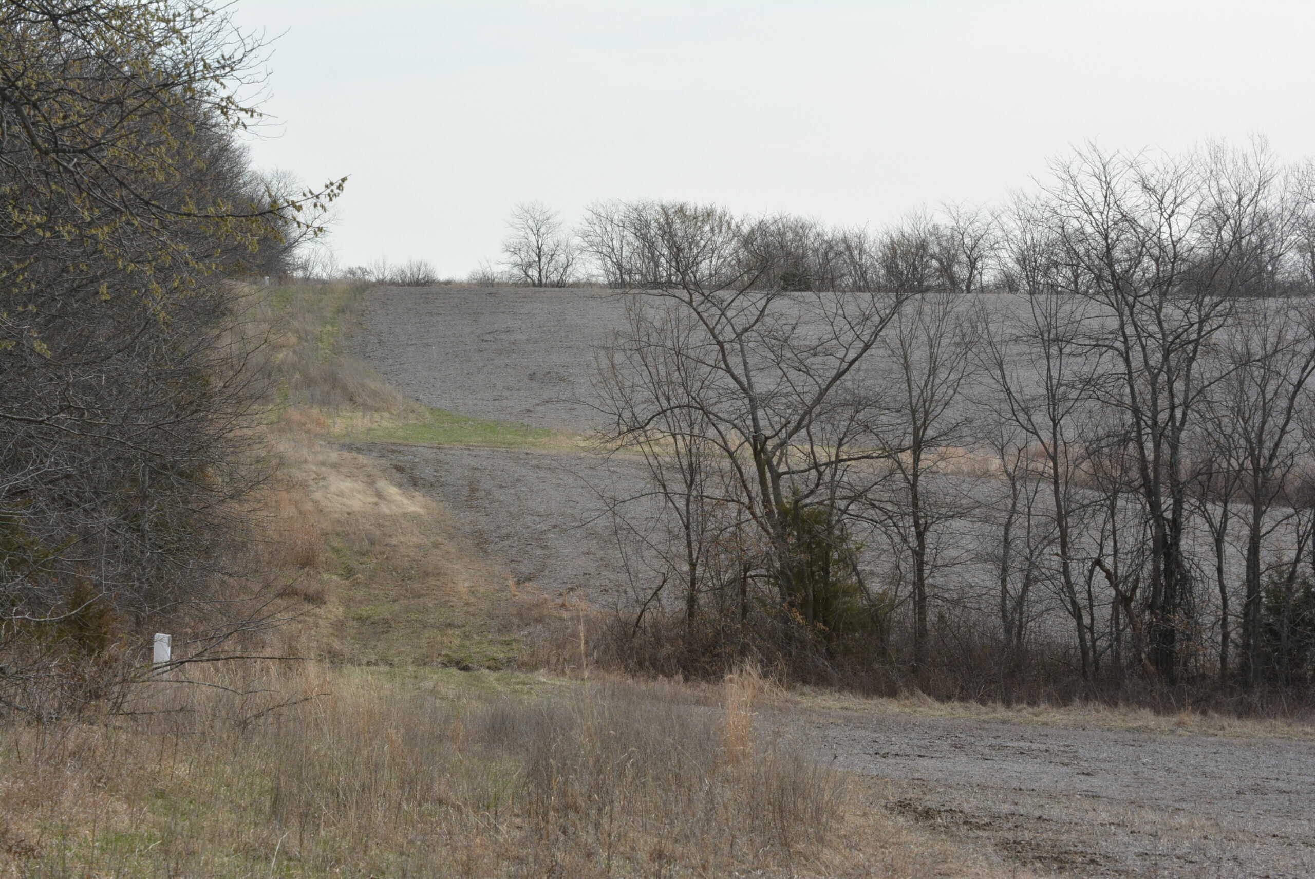 Hunting Land With Income – Mercer County, Missouri